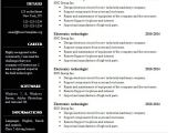 Download Free Resume Templates Word Download Resume Templates Word Free Cv Template 303 to 309