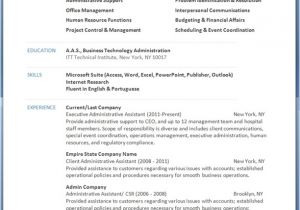 Download Resume Templates Word Free Professional Resume Templates Download Resume Downloads