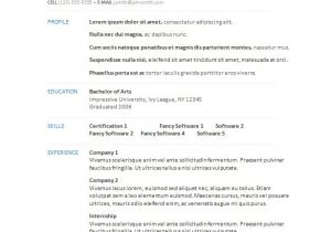 Downloadable Resume Template 34 Microsoft Resume Templates Doc Pdf Free Premium