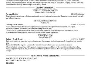 Driver Basic Resume Personal Driver Objectives Resume Objective Livecareer