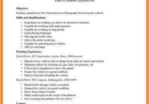 Driver Resume format Word 13 Driver Resume format In Word Bank Statement