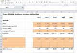 Drop Shipping Business Plan Template Drop Shipping Business Revenue Projection Plan Projections