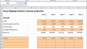 Drop Shipping Business Plan Template Drop Shipping Business Revenue Projection Plan Projections