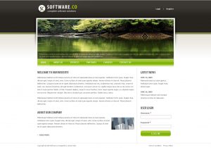 Drupal 404 Template software Co Drupal Template by Settysantu themeforest
