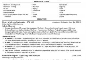 Drupal Developer Resume Sample 16 Drupal Developer Resume