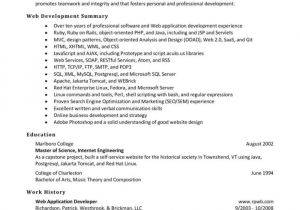Drupal Developer Resume Sample aspnet Mvc Developer Cv Resume Resume Examples 3klynkpako