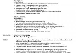 Drupal Developer Resume Sample Drupal Resume Samples Velvet Jobs