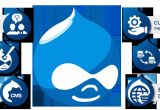 Drupal Template Development Comparison Of Most Popular Cms Msa Technosoft