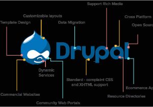 Drupal Template Development Drupal Development Company Hire Expert Drupal Developers