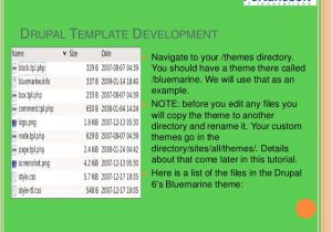 Drupal Template Development Drupal theme Development