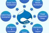 Drupal Template Development Drupal Website Development Services India Drupal Web