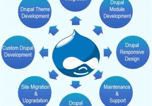 Drupal Template Development Drupal Website Development Services India Drupal Web