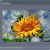 Dynamic Auto Painter Templates Download Dynamic Auto Painter Pro V4 1 X86 X64