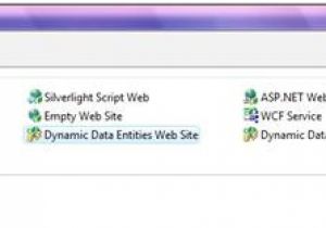 Dynamic Data Templates Create An asp Net Dynamic Data Website Using Ado Net