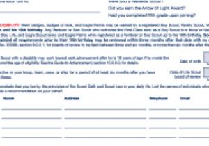 Eagle Scout Proposal Template Eagle Scout Proposal Template One Piece