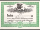 Eagle Stock Certificate Template Blank Stock Certificate Template Portablegasgrillweber Com
