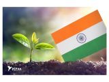 Easy Card On Independence Day Set Of 5 Plantable Seed Indian Flag Badge Pocket Size Flag