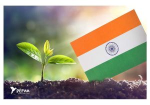 Easy Card On Independence Day Set Of 5 Plantable Seed Indian Flag Badge Pocket Size Flag