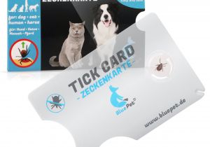 Easy Card or Easy Ticket Zeckenkarte Zeckenentferner Fur Die Geldborse I Bluepet