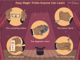 Easy Card Tricks Step by Step Learn Fun Magic Tricks to Try On Your Friends