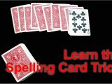 Easy Quick Card Magic Tricks How to Perform the Spelling Card Trick