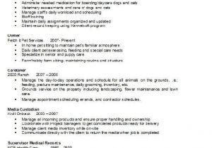 Ece Resume Sample B E Ece 3 Resume format Resume Models Resume Resume