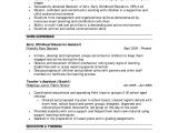 Ece Resume Sample B E Ece Resume format format Resume Resume Examples