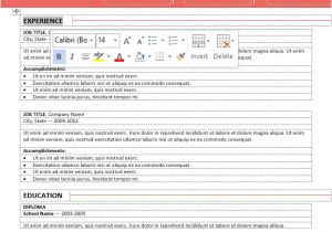 Editable Resume format In Word Centrum Simple Resume Template