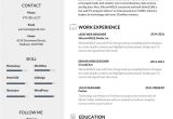 Editable Simple Resume format 50 Most Professional Editable Resume Templates for