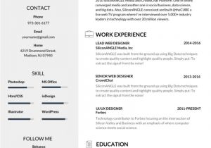 Editable Simple Resume format 50 Most Professional Editable Resume Templates for
