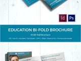 Education Brochure Templates Free Download Education Brochure Template 43 Free Psd Eps Indesign