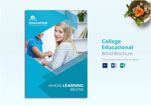 Education Flyer Templates Free Download School Brochure 31 Download In Psd Vector Pdf