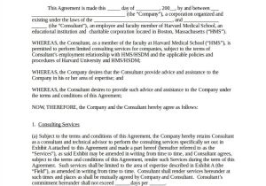 Educational Consultant Contract Template 40 Contract Templates Docs Pages Word