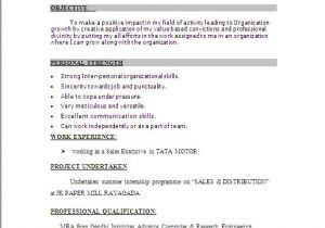 Effective Resume format Word Download Resume format Write the Best Resume