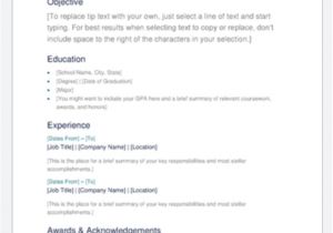 Effective Resume format Word the 17 Best Resume Templates Fairygodboss