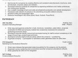 Effective Resume Samples Free Resume Examples An Effective Chronological Resume
