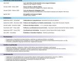 Ejemplos De Resume Profesional En Espanol Pin De C En E4 Curriculum Vitae Espanol Modelos De