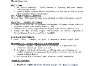 Electrical Engineer Resume Linkedin Electronic Electrical Engineer Luay 39 S Professional