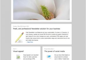 Email Bulletin Template some Great Insight On HTML News Letter Templates 211