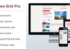 Email Grid Template News Grid Pro Email Newsletter Template by Dsthemes