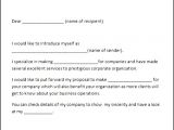 Email Introducing Yourself to Clients Template 4 Company Introduction Email to Client Template