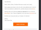 Email Style Guide Template Your Email Design Guide Do 39 S Don 39 Ts Of Email Marketing
