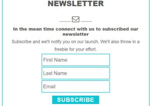 Email Subscription Template Newsletter Subscription form User Subscriptions form