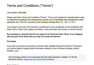 Email Terms and Conditions Template Terms and Conditions Sample 8 Documents In Pdf Word