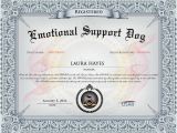 Emotional Support Dog Certificate Template Don 39 T Dog the System to Dine with Your Pup