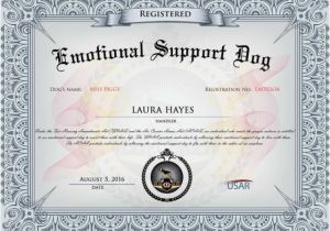 Emotional Support Dog Certificate Template Don 39 T Dog the System to Dine with Your Pup