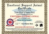 Emotional Support Dog Certificate Template Emotional Support Animal Esa Certificate 8 5 by 11