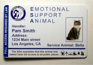 Emotional Support Dog Certificate Template Emotional Support Animal Id Card Badge Service Cat