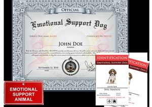 Emotional Support Dog Certificate Template Emotional Support Dog Basic Kit Us Dog Registry