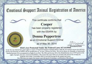 Emotional Support Dog Certificate Template Emotional Support Dog Laws Protecting Your Rights